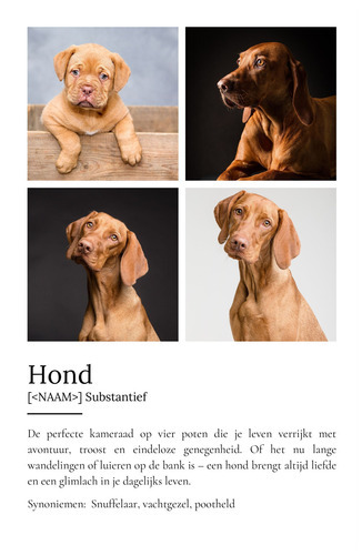 Personaliseerbaar Hondenposter: Jouw Perfecte Viervoeter Designen!