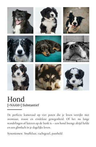 Personaliseerbaar Hondenposter: Jouw Perfecte Viervoeter Designen!