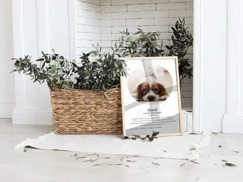 Honden Definitie Poster – Persoonlijk Cadeau