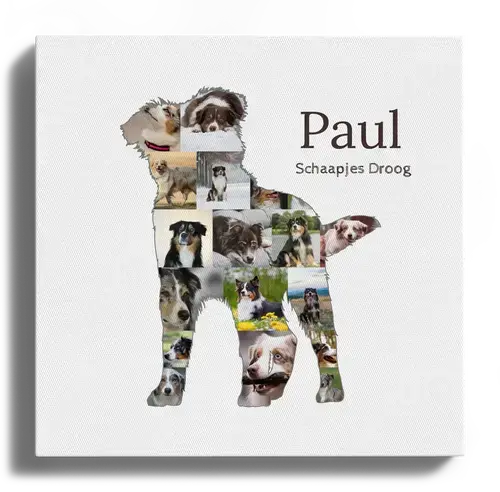 Australian Shepherd Fotocollage met Eigen Tekst