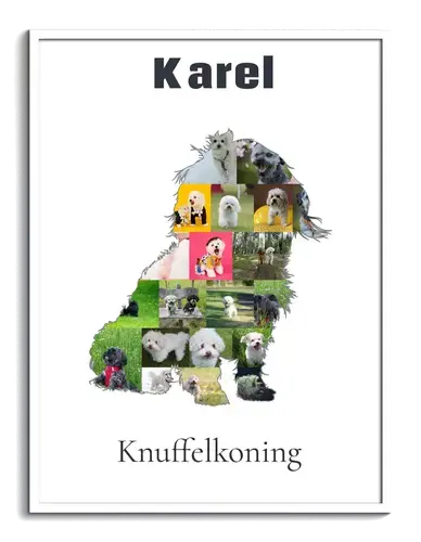 Bolonka Zwetna Fotocollage voor Hondenliefhebbers