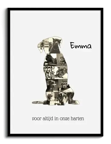 Cane Corso Fotocollage voor Hondenliefhebbers