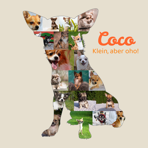 Hunde-Fotocollage "Chihuahua" erstellen. Eigene Fotos, Namen und Texte.