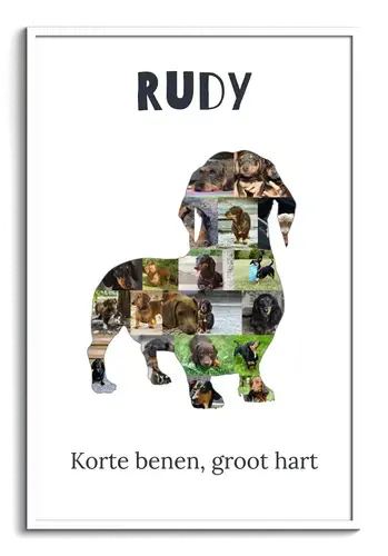 Creëer je persoonlijke Dackel collage voor een unieke hondenherinnering! Creëer je persoonlijke Dackel collage voor een unieke hondenherinnering!
