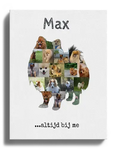 Gepersonaliseerde Fotocollage Dwergspitz Hond