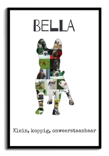 Franse Bulldogge Fotocollage voor Hondenliefhebbers