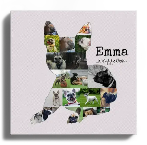 Franse Bulldogge Fotocollage voor Hondenliefhebbers