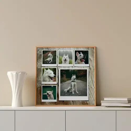 Fotocollage hond met veel ontwerpmogelijkheden