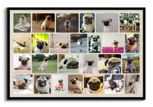 Fotocollage hond met veel ontwerpmogelijkheden