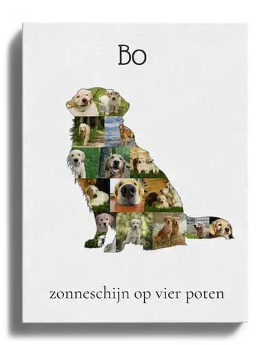 Creëer jouw unieke Golden Retriever fotocollage met persoonlijke touch! Creëer jouw unieke Golden Retriever fotocollage met persoonlijke touch!