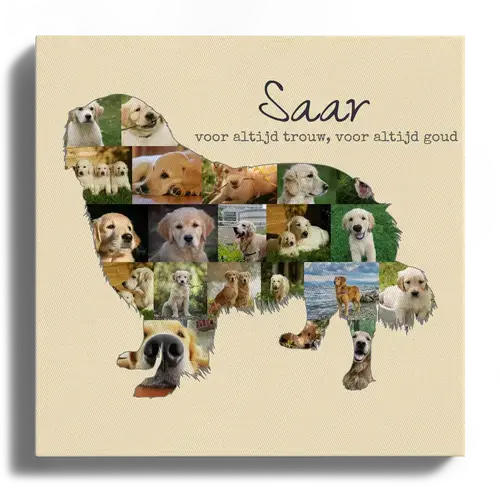 Creëer jouw unieke Golden Retriever fotocollage met persoonlijke touch! Creëer jouw unieke Golden Retriever fotocollage met persoonlijke touch!