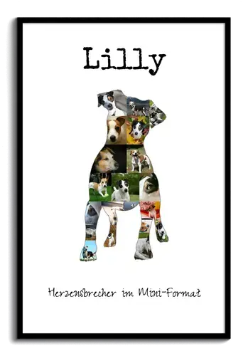 Jack Russell Terrier Fotocollage mit individuellem Text