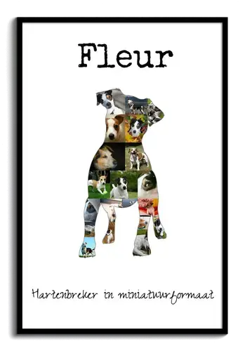 Jack Russell Collage voor Hondenliefhebbers