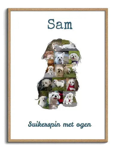 Malteser Fotocollage voor Hondenliefhebbers