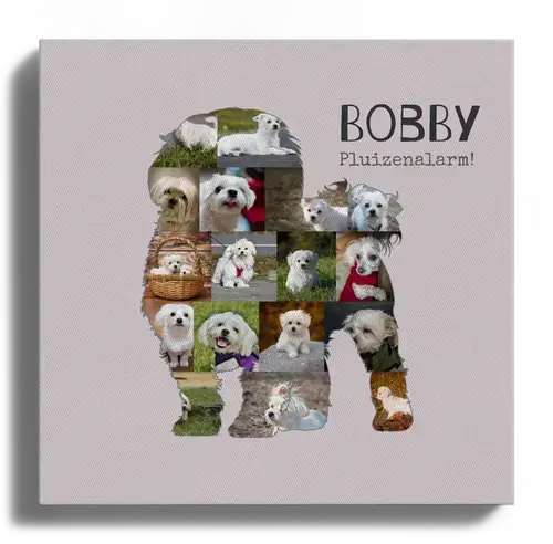 Malteser Fotocollage voor Hondenliefhebbers