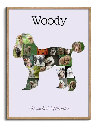 Hunde-Fotocollage "Pudel" erstellen. Eigene Fotos, Namen und Texte. Hunde-Fotocollage "Pudel" erstellen. Eigene Fotos, Namen und Texte.