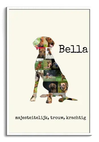 Rhodesian Ridgeback Fotocollage met eigen foto's