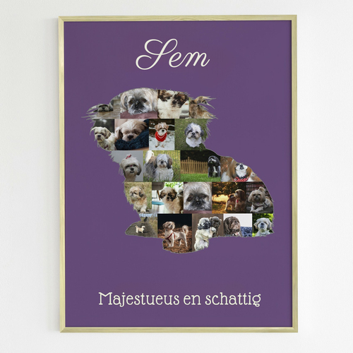 Mooie Shih Tzu Foto Collage voor Jouw Eigen Persoonlijke Herinnering