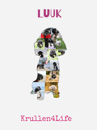 Creëer jouw unieke Dwergpoedel fotocollage met persoonlijke tekst