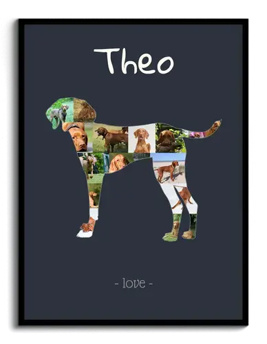 Magyar Vizsla Honden Collage met Eigen Foto's