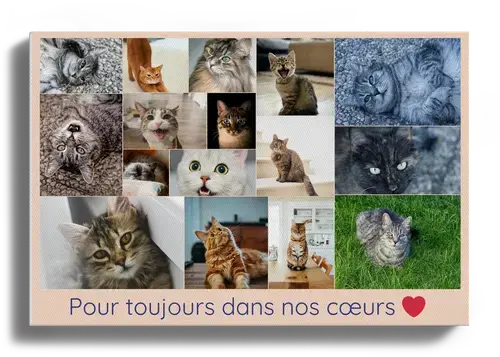 Collages photo hommage chat défunt