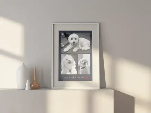 Herdenkingsfotocollage hond met eigen tekst