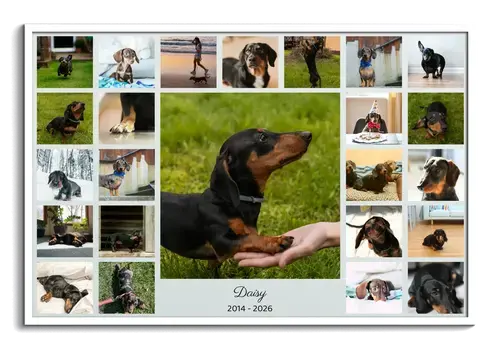 Collage photo silhouette de chien – nom et années