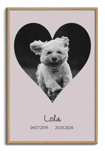 Collage photo silhouette de chien – nom et années