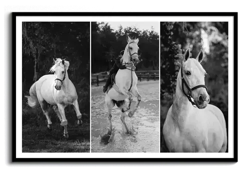 Herdenkingsposter paard met rijmotief & naam