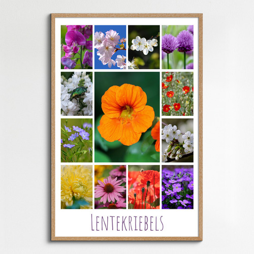 Ontwerp je bloemen-fotocollage – premium print: lente, rozen, zonnebloemen, tulpen
