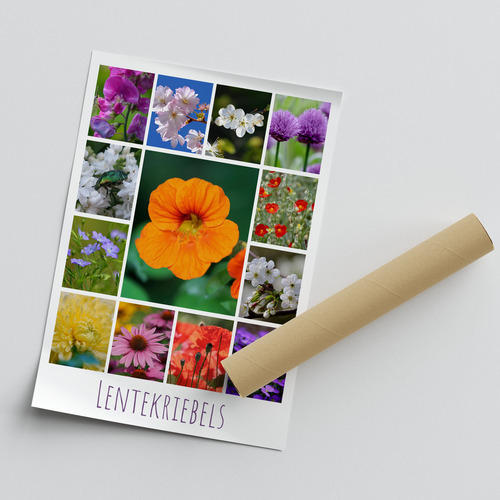 Ontwerp je bloemen-fotocollage – premium print: lente, rozen, zonnebloemen, tulpen