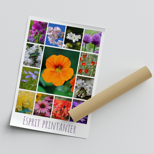 Collage Premium Fleurs & Paysages Printemps