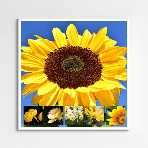 Ontwerp je bloemen-fotocollage – premium print: lente, rozen, zonnebloemen, tulpen