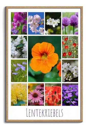Bloemen & Planten Collage - Lente Thema