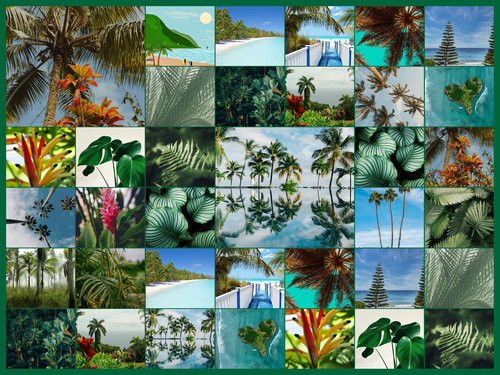 Collage photo Nature tropicale - créez votre impression premium: palmiers, plage, jungle