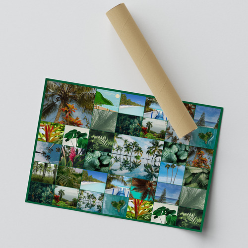 Collage photo Nature tropicale - créez votre impression premium: palmiers, plage, jungle