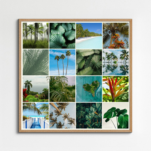 Collage photo Nature tropicale - créez votre impression premium: palmiers, plage, jungle