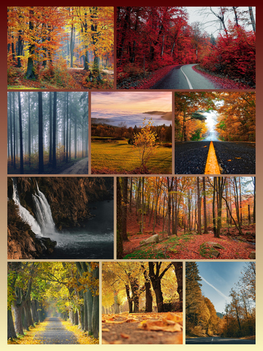 Créez et imprimez un collage photo de paysages: forêts, routes d’automne, pics enneigés