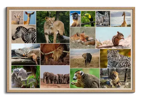 Natur-Tier-Collage: Wildtiere & Vögel Premium-Druck
