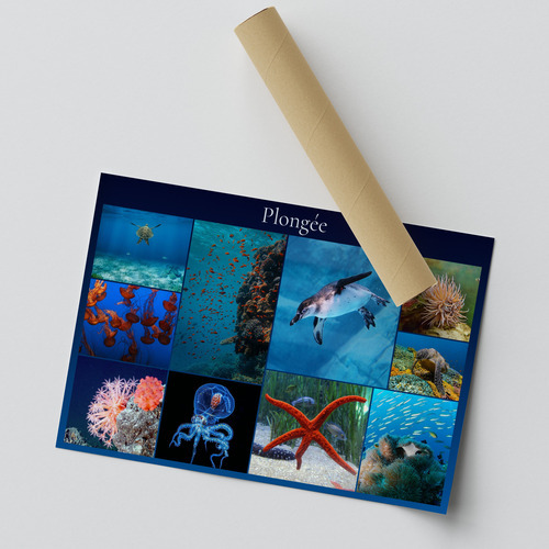 Collage photo animaux marins & plongée – créez et imprimez en qualité premium
