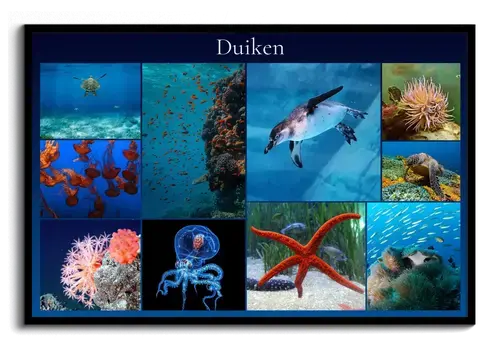 Onderwaterwereld: Dieren Collage op Premiumdruk