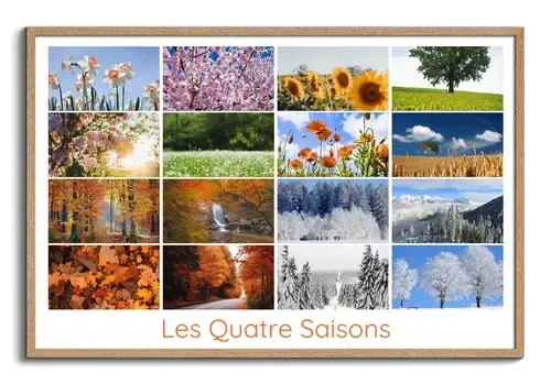 Collages Premium Nature et Saisons