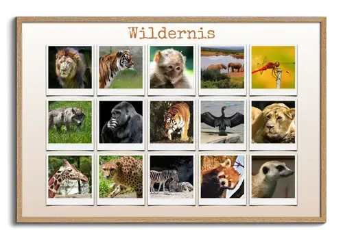 Dierenpolaroid Collage in de Natuur