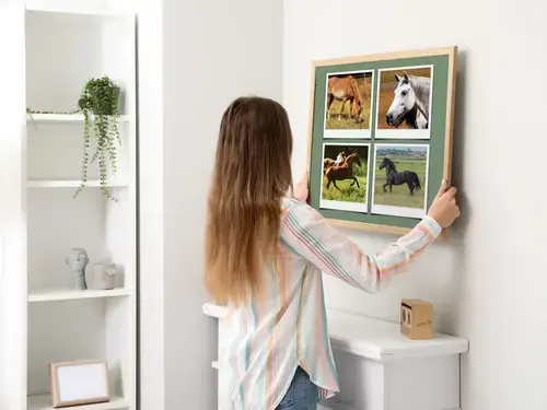 Polaroid-Collage: Tiere in der Natur und Wildnis