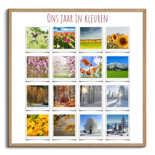 Polaroid-Collage: Natuur in Seizoenen