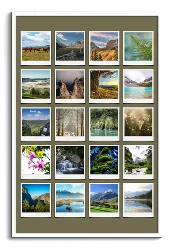 Collage Polaroid Nature Saison en Couleurs