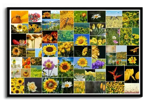 Affiche Collage 61 Photos Fleurs - Créatif et Moderne