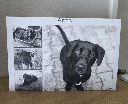 Klantfoto van Christiane voor beoordeling Afdruk Fotocollage Hardfoam 30x20cm