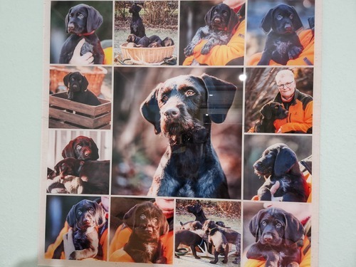 Kundenfoto von Kathrin für Bewertung Druck Fotocollage Acryl 80x80cm