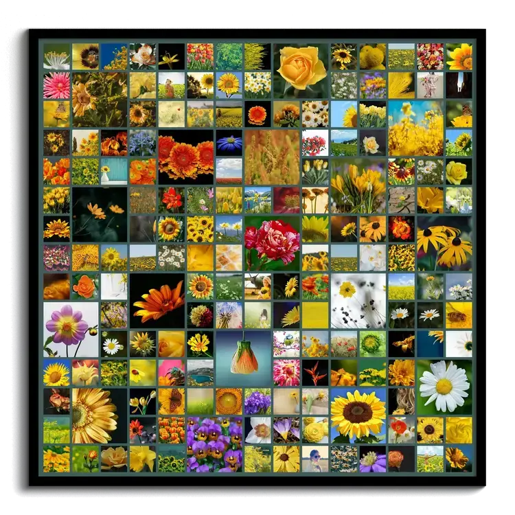 Fotocollage gestalten mit vielen Fotos als Raster mit Variationen